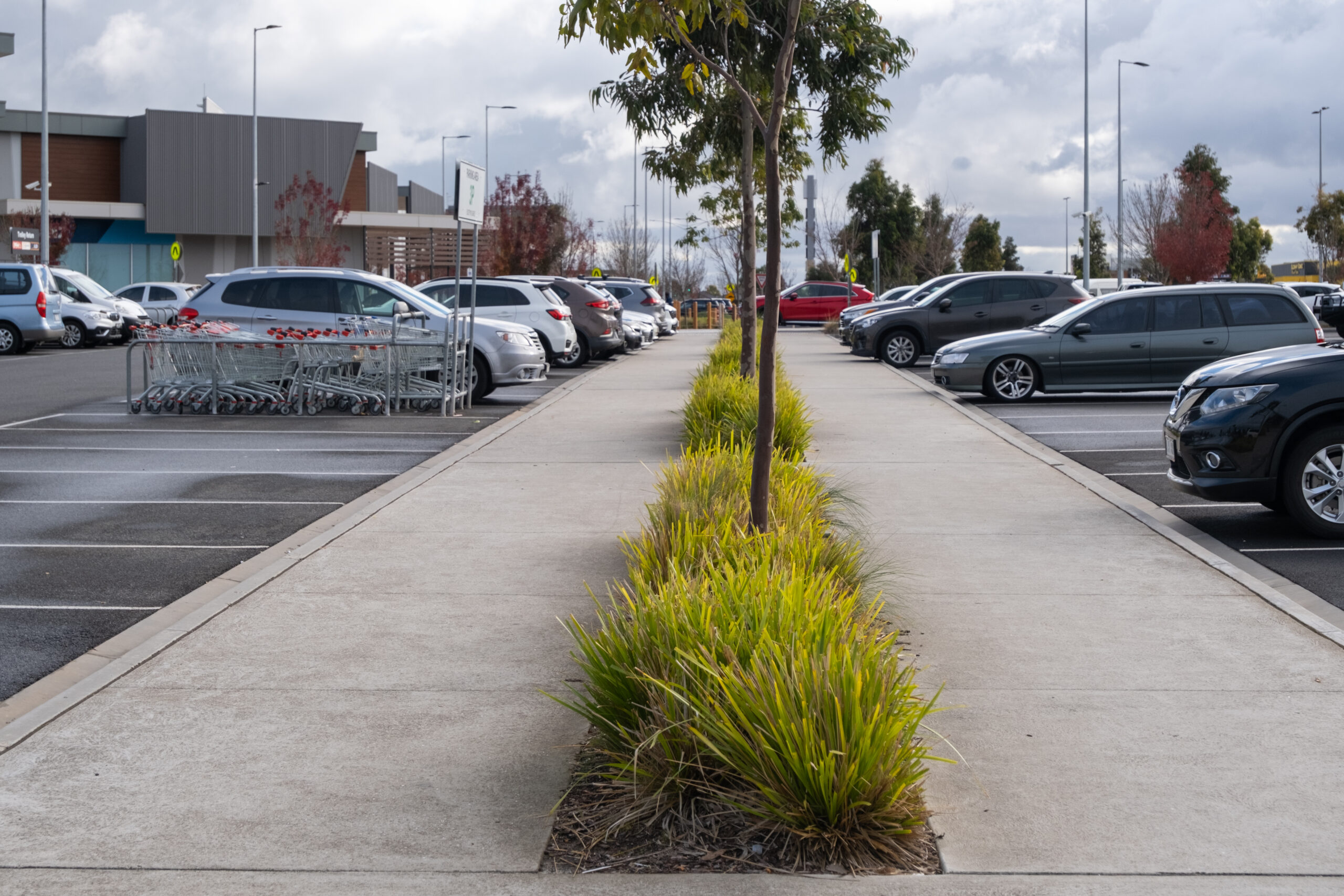 Cars parked in a grocery store parking lot